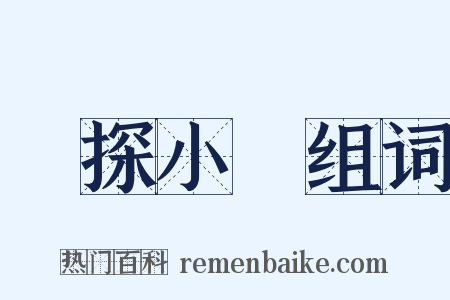 偵探小說组词是什么意思的图片